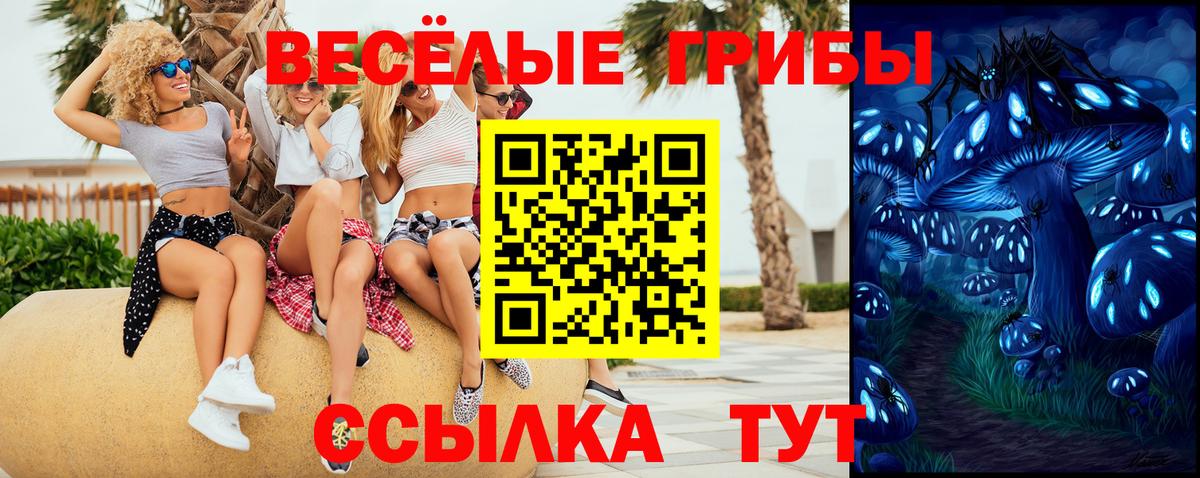 Псилоцибиновые грибы GOLDEN TEACHER  Вход с VPN  Санкт-Петербург  Галлюциногенные грибы прущие грибы 